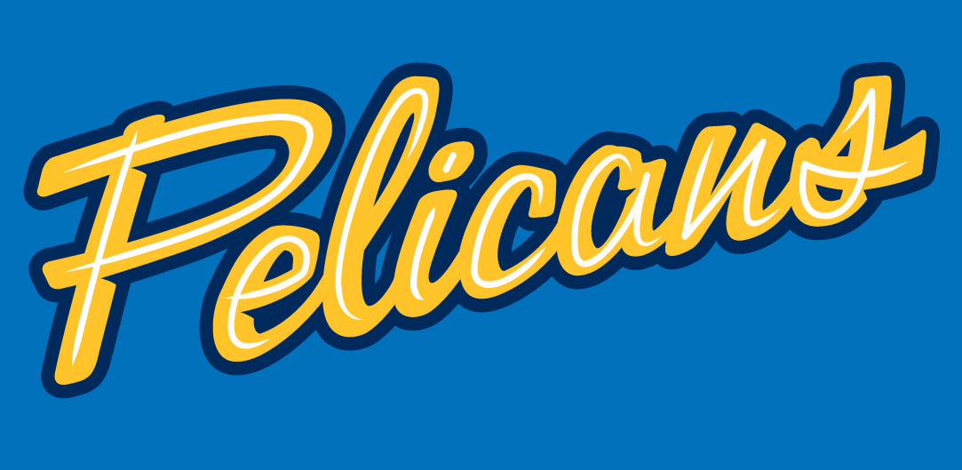 Myrtle Beach Pelicans 2007-Pres Jersey Logo iron on transfers for T-shirts